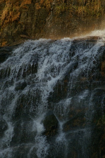 d0079278_1717658.jpg