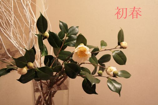 b0071781_14505179.jpg