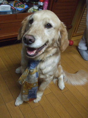 f0005081_1247930.jpg