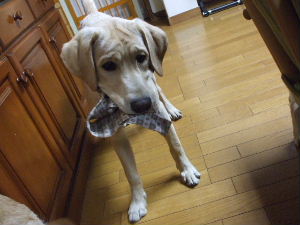 f0005081_12483083.jpg