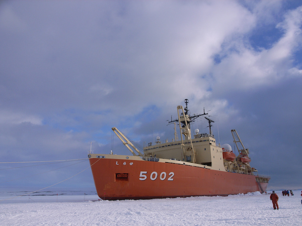 a0053783_451865.jpg