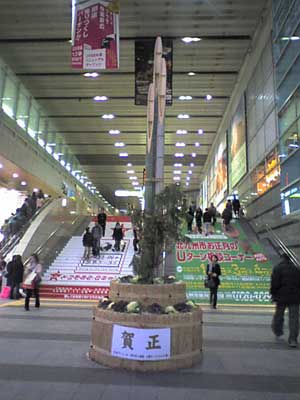 a0096787_1032344.jpg
