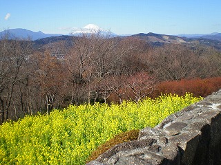 e0123587_18321041.jpg