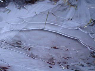 c0146788_1726137.jpg