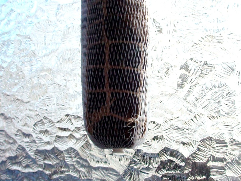 a0019089_2191685.jpg