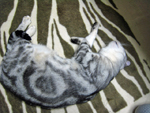 c0130389_23301879.jpg