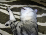 c0130389_2330469.jpg