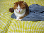 c0130389_23312033.jpg