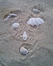c0068090_1957790.jpg