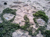 c0068090_19595768.jpg