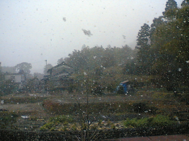 f0068291_1234645.jpg