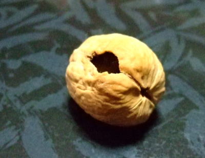 c0150193_148368.jpg
