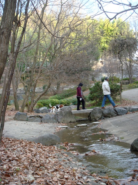 e0111793_22353595.jpg