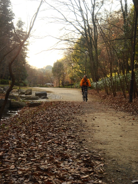 e0111793_2392459.jpg