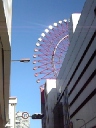 e0122194_11374675.jpg