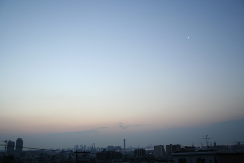 d0131006_2224068.jpg