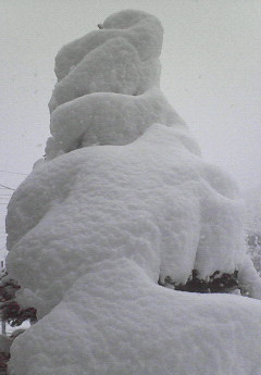 c0050708_13193864.jpg