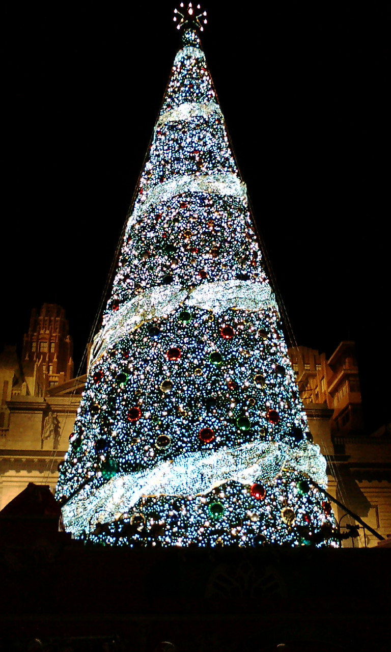 a0105809_1537831.jpg