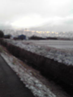 d0101409_22562386.jpg