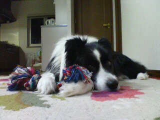 f0090009_17592611.jpg