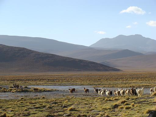 d0114214_1273688.jpg
