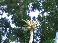 a0043520_23474012.jpg