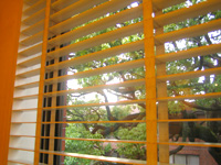 c0012120_23185573.jpg