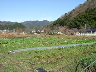 c0154637_951429.jpg