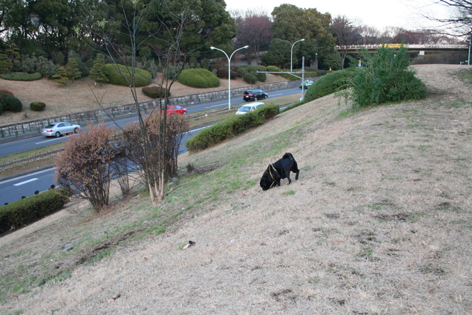 a0051443_2355255.jpg