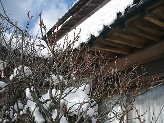 c0137145_8114662.jpg