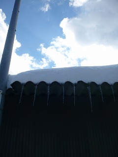 c0137145_812447.jpg
