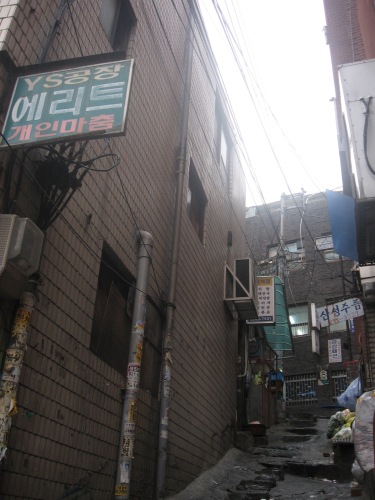 f0055745_053319.jpg