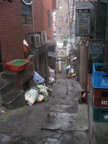 f0055745_055967.jpg