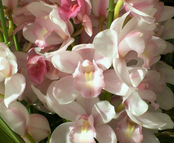 f0073848_1461965.jpg