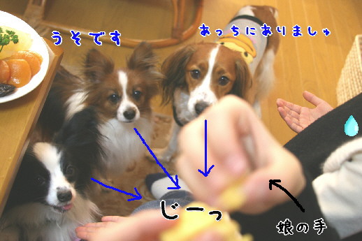 d0013149_0115663.jpg