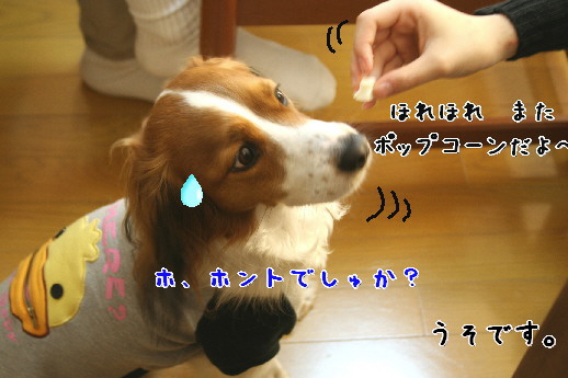 d0013149_033180.jpg