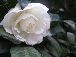 c0118352_10191675.jpg