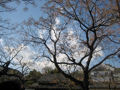 d0031853_002587.jpg