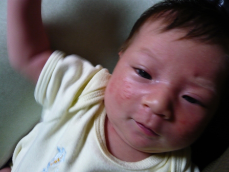 c0123668_17393252.jpg