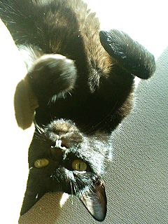 f0054677_934898.jpg