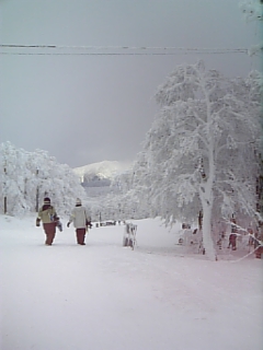 c0096582_14431089.jpg