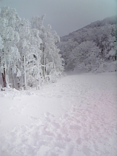 c0096582_14431110.jpg