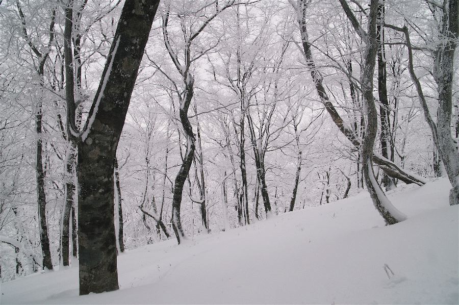 d0037282_022160.jpg