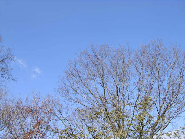 d0142182_20534625.jpg