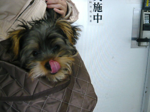 f0018384_123063.jpg