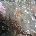 f0151886_18533056.jpg
