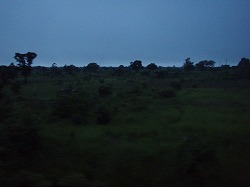 a0003089_2348773.jpg