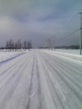 b0046290_21584677.jpg