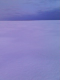 b0046290_8562259.jpg