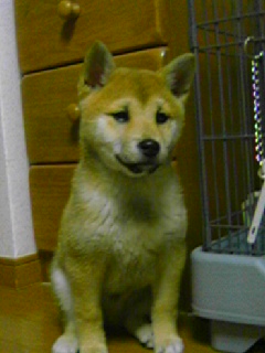 c0123890_2103128.jpg